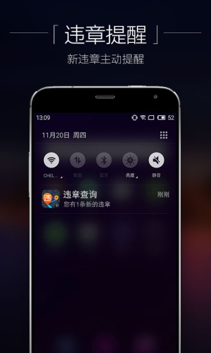 违章查询v5.4.2.5截图4
