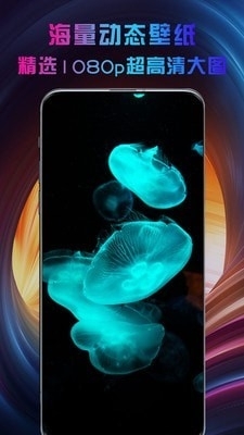 动态主题壁纸大全v1.3.5截图1