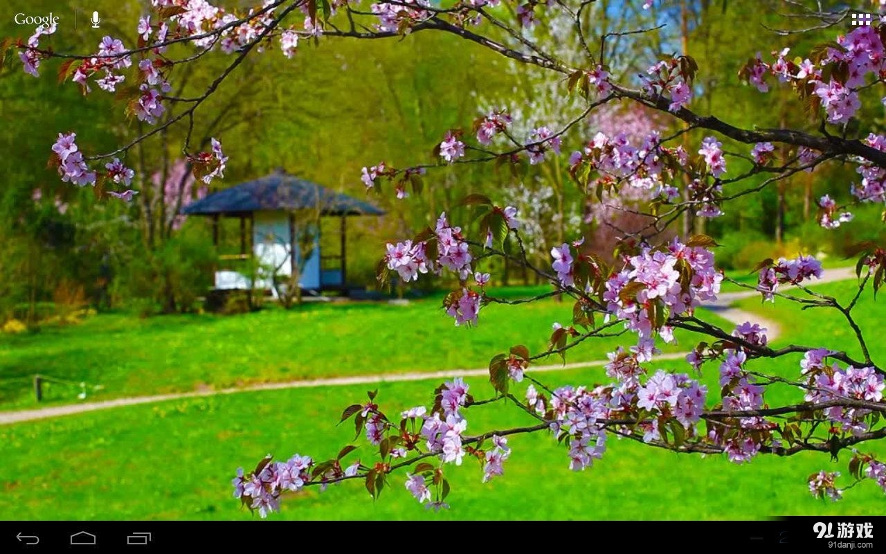 3D Zen Garden House Freev1.12截图2