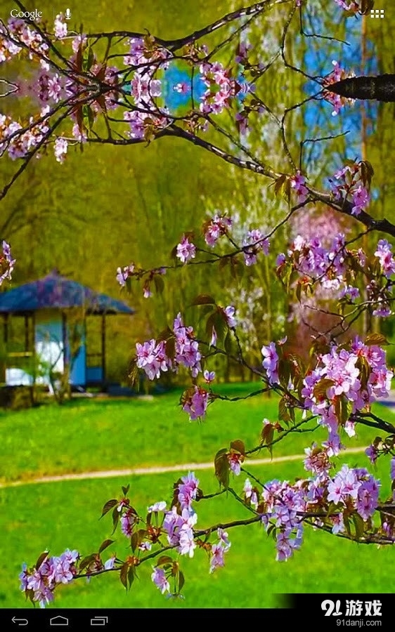 3D Zen Garden House Freev1.12截图5