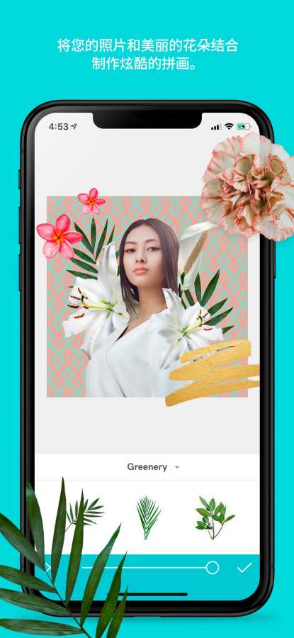 Picolla Be Bohemianv1.9截图1