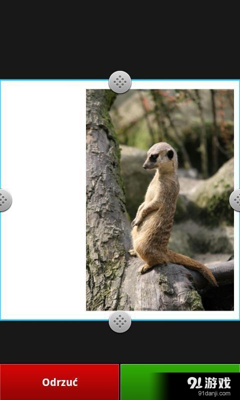 InstaSquareMaker客户端v1.12.124截图3