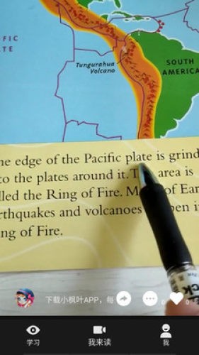 小枫叶英语安卓版v2.10截图1