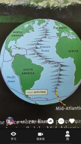 小枫叶英语安卓版v2.10截图3