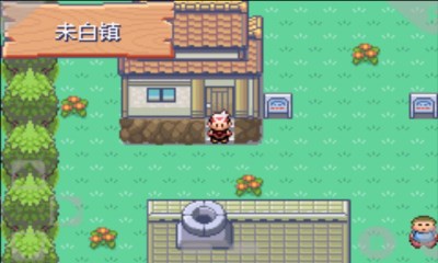 口袋妖怪漆黑的魅影v1.5.12截图3