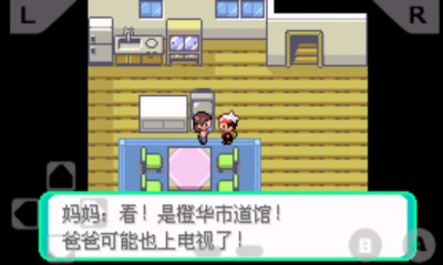 口袋妖怪漆黑的魅影v1.5.12截图2