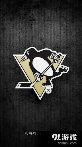 匹兹堡企鹅程序v3.2.7截图5