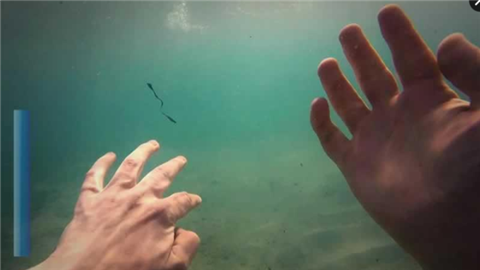 紫罗兰之影v606截图2