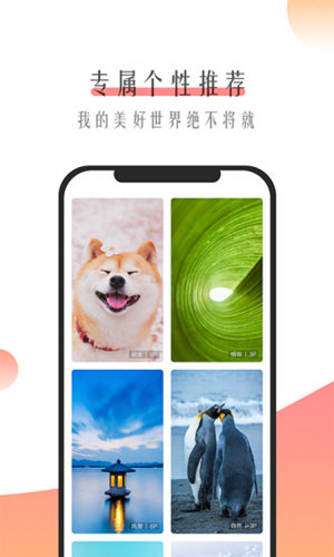 米柚壁纸v2.9截图3