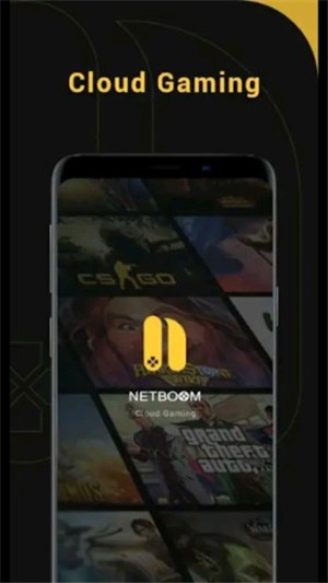 NetBoomv2.8截图2