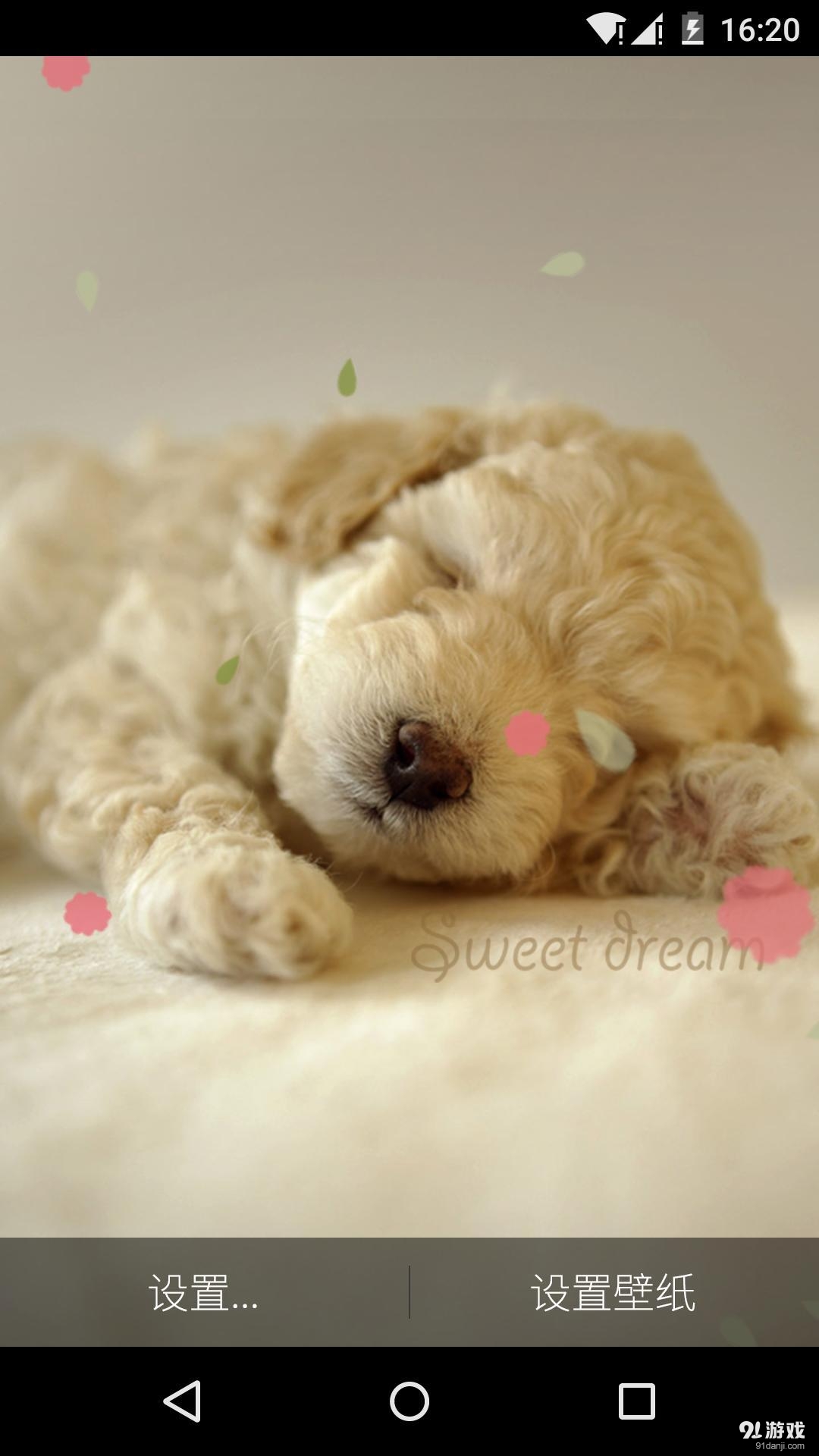 睡觉的狗狗：梦象动态壁纸v1.5.7截图3