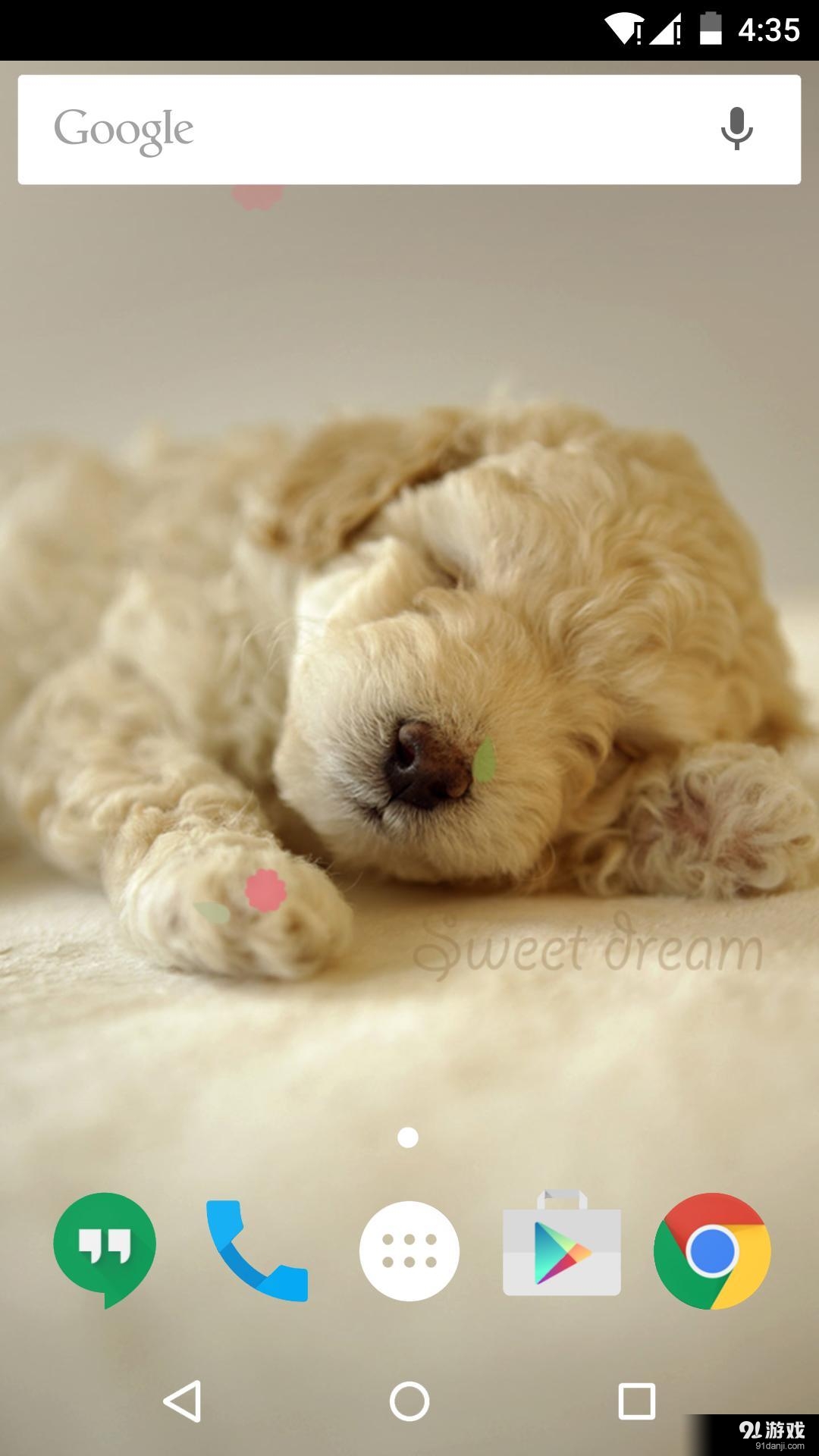 睡觉的狗狗：梦象动态壁纸v1.5.7截图4