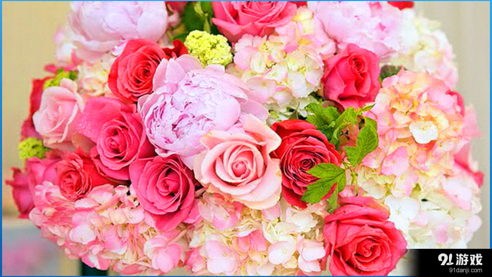 高清摄影背景v9.7截图2