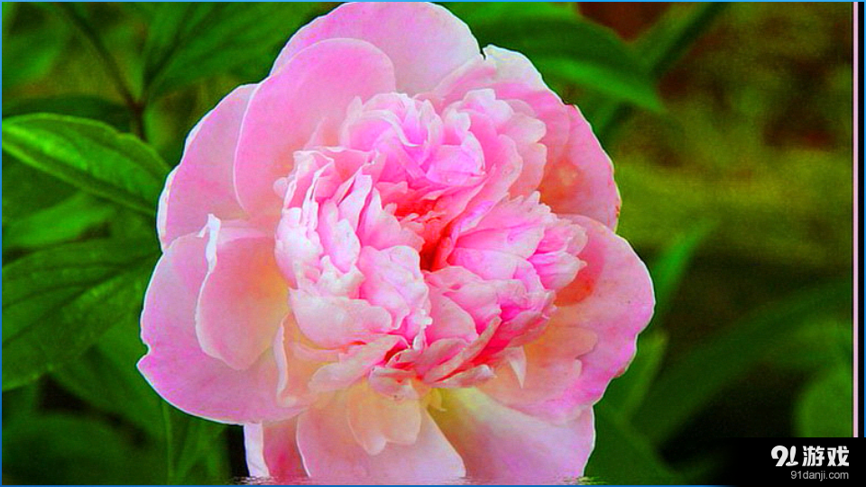 高清摄影背景v9.7截图4