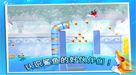 鲨鱼向前冲正式版v1.3.10截图2