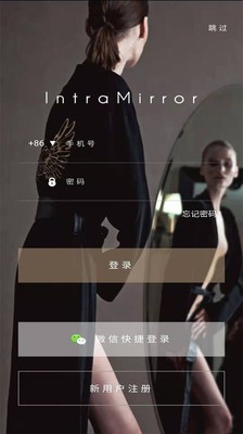 IntraMirrorv2.61截图1
