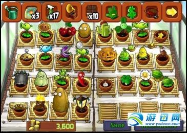 植物大战僵尸3：异次元之旅v1.6截图2