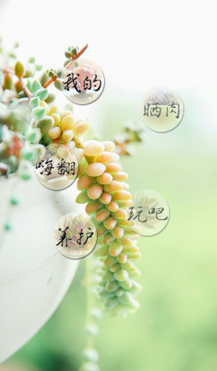 胖嘟花卉v1.3.8截图2