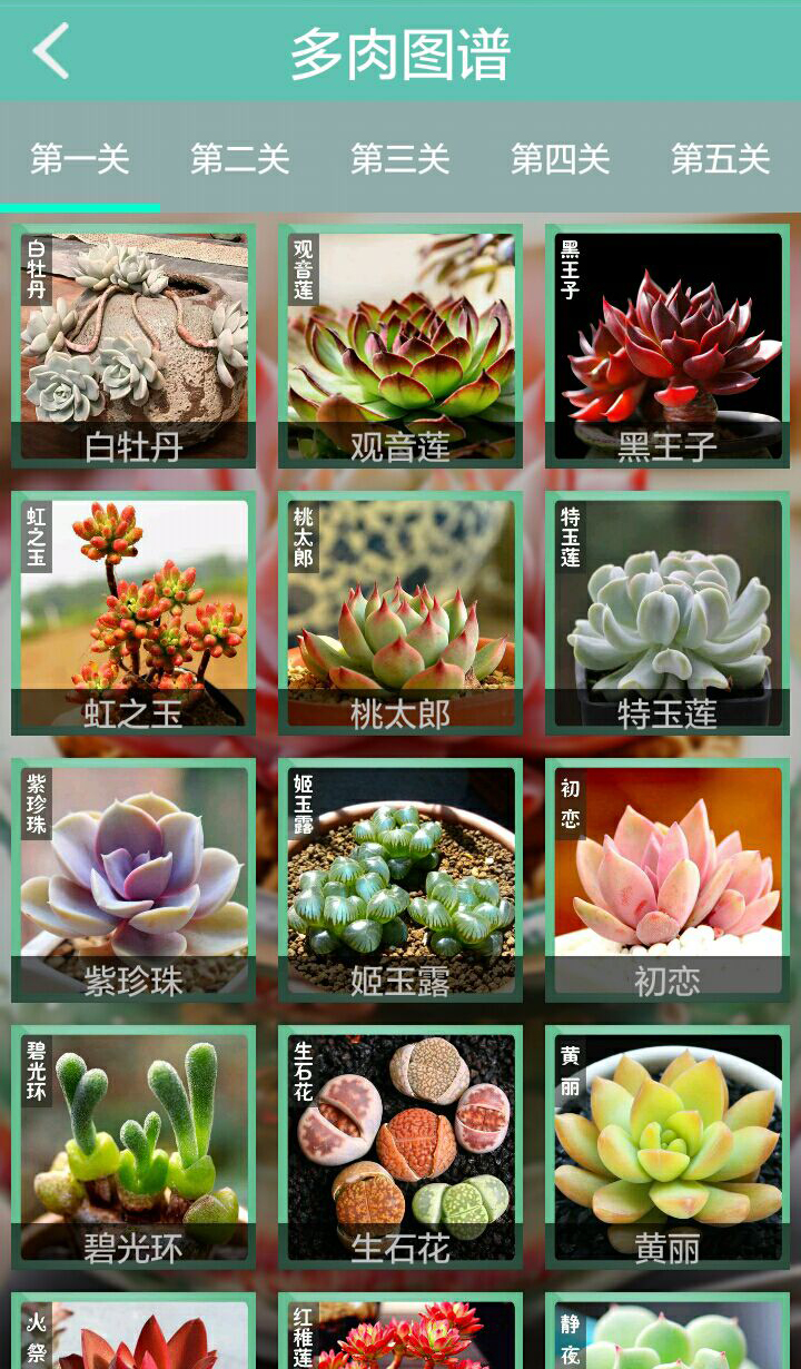 胖嘟花卉v1.3.8截图5