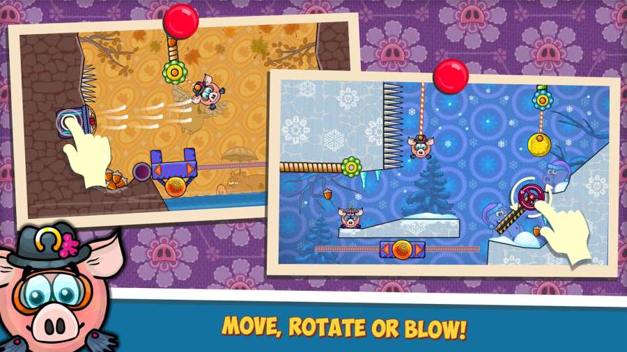 猪猪吃松子v5截图2