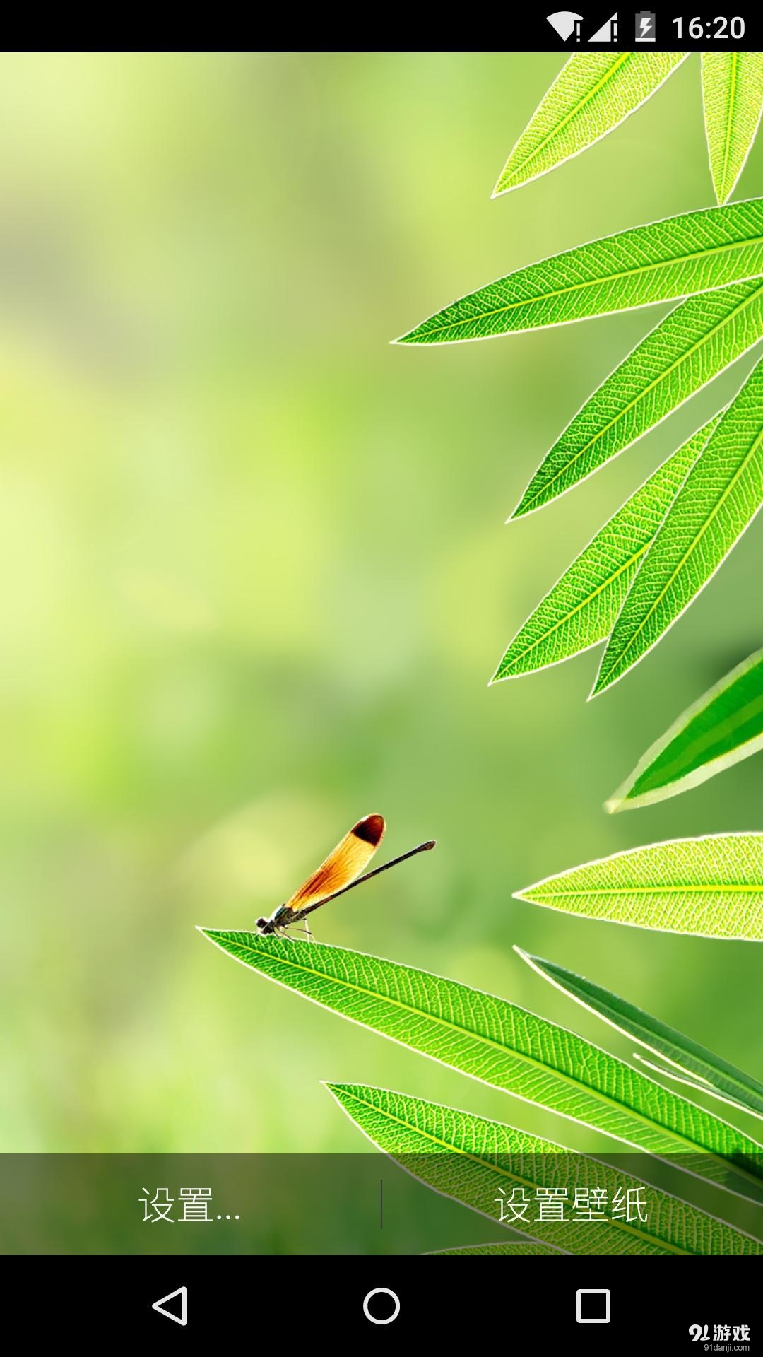 夏叶落蜓v1.5.11截图1