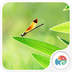 夏叶落蜓v1.5.11