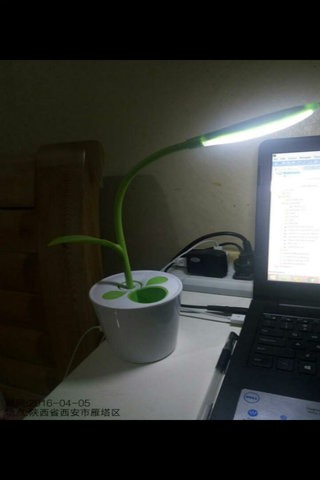 小石照相机v1.7截图1