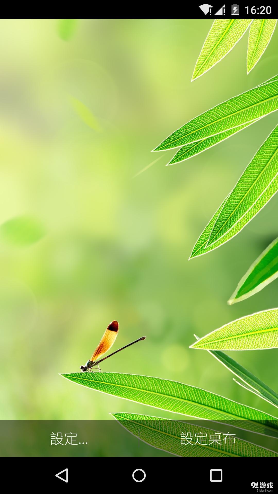 夏叶落蜓v1.5.11截图2