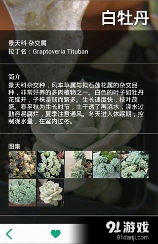 多肉植物v2.7.6截图3