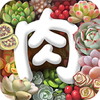 多肉植物v2.7.6