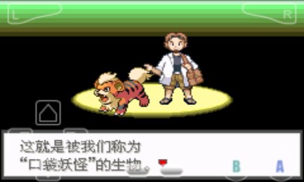 口袋妖怪极光石v6.10.5截图3