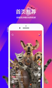 宠音v3.7.4截图4