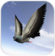 市鸟飞行模拟器2015v1.10