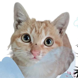 电工仿真实练v1.5