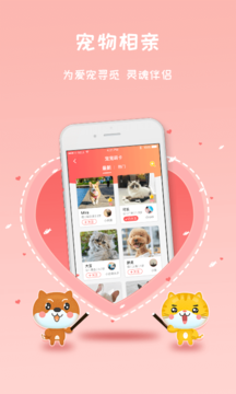 宠宠窝v1.1.5截图3