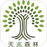 天兆森林v00.3.0004