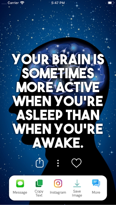 Daily Random Facts每日随机事实v3.9.8截图5