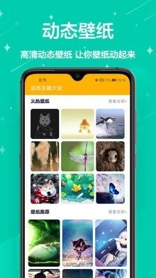 手机壁纸免费v1.3.5截图2