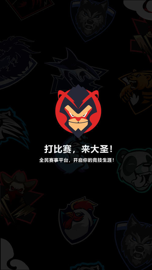 大圣电竞v2.33.6截图3