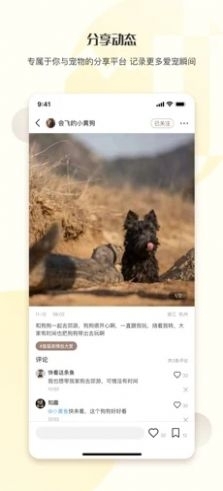 集宠区v1.7截图5