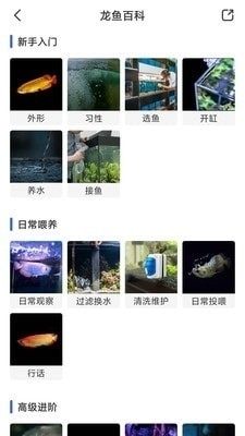 鲲天下v1.17.8截图3