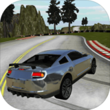 越野疯狂驾驶v1.9