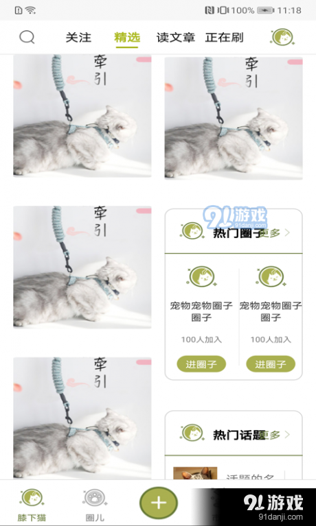 膝下猫v1.3.6截图2