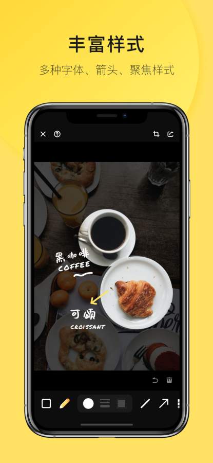 Pico · 图像标注v1.11截图1