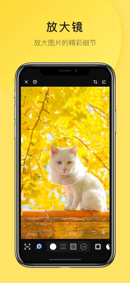 Pico · 图像标注v1.11截图4