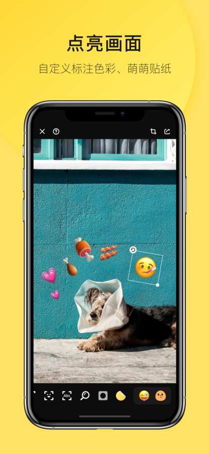 Pico · 图像标注v1.11截图5