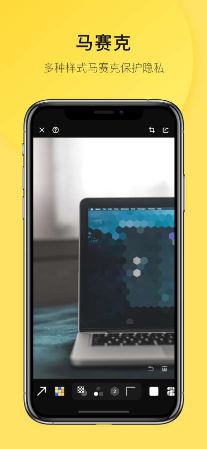 Pico · 图像标注v1.11截图3