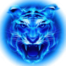 四虎影视在线观看v1.3.8