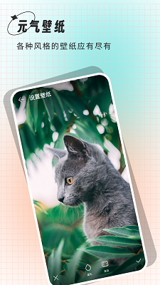 克拉壁纸v3.5截图3