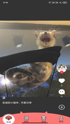 花花v1.0.25截图2